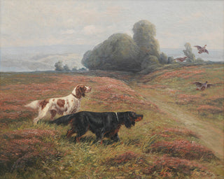 A POINTER AND A SETTER SENDING UP GROUSE - Museum Quality Art