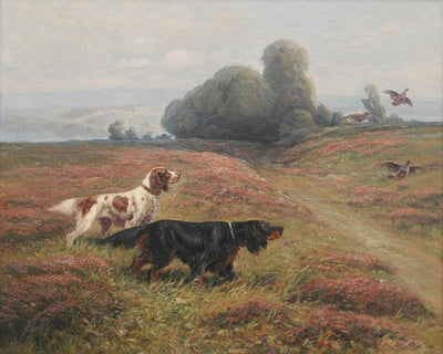 A POINTER AND A SETTER SENDING UP GROUSE - Museum Quality Art