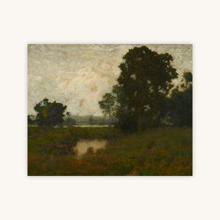 A POOL IN THE MEADOW — Primary Image