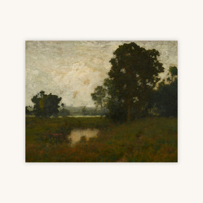 A POOL IN THE MEADOW — Primary Image