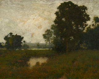 A POOL IN THE MEADOW