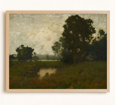 A Pool in the Meadow