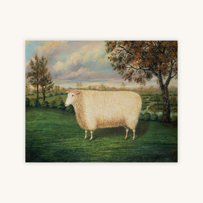 A PRIZE SHEEP OF THE OLD LINCOLN BREED — Primary Image