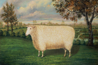 A Prize Sheep of the Old Lincoln Breed