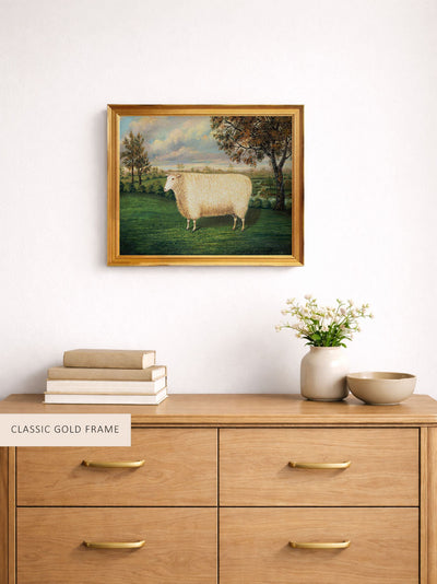 A Prize Sheep of the Old Lincoln Breed
