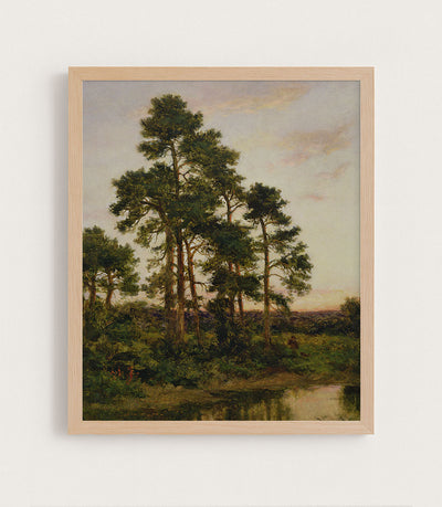 A Quiet Evening, Surrey Pines