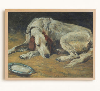 A Recumbent Hound