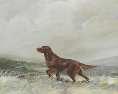 A RED SETTER - Museum Quality Art