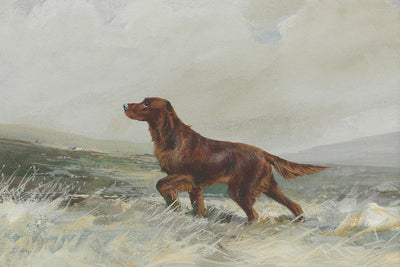 A RED SETTER - Museum Quality Art
