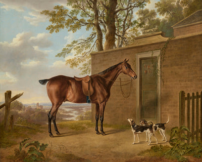 A SADDLED BAY HUNTER WITH TWO HOUNDS OUTSIDE A STABLE - Museum Quality Art