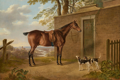 A SADDLED BAY HUNTER WITH TWO HOUNDS OUTSIDE A STABLE - Museum Quality Art