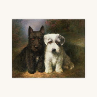 A SCOTTISH AND A SEALYHAM TERRIER — Primary Image