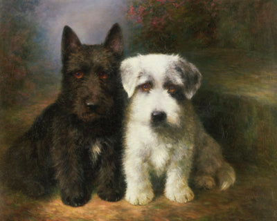 A SCOTTISH AND A SEALYHAM TERRIER