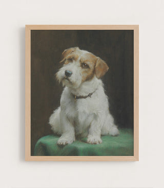 A Sealyham Terrier
