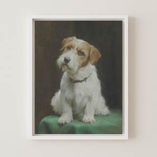 A Sealyham Terrier