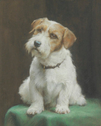 A SEALYHAM TERRIER - Museum Quality Art