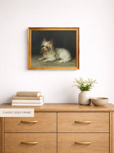 A Seated Terrier
