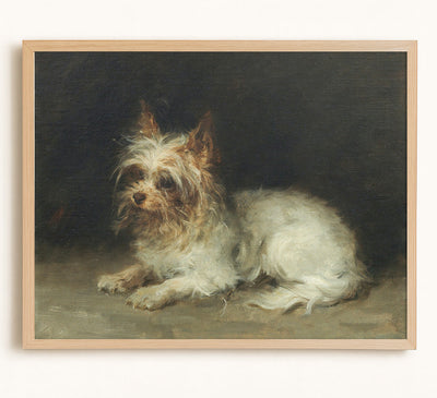 A Seated Terrier