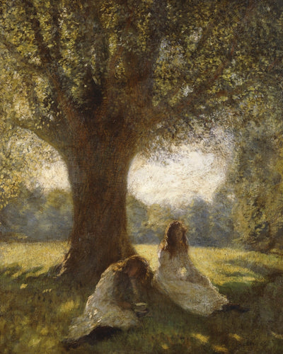 A Shady Spot