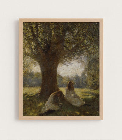 A Shady Spot