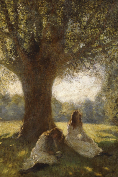 A Shady Spot