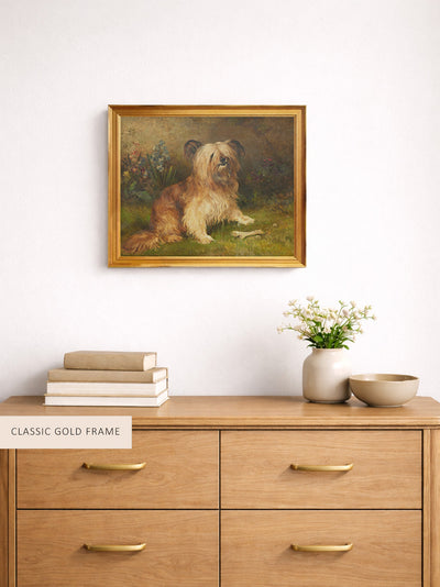 A Skye Terrier