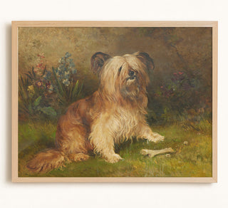 A Skye Terrier