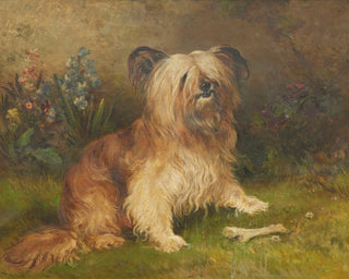 A SKYE TERRIER - Museum Quality Art
