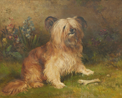A SKYE TERRIER - Museum Quality Art