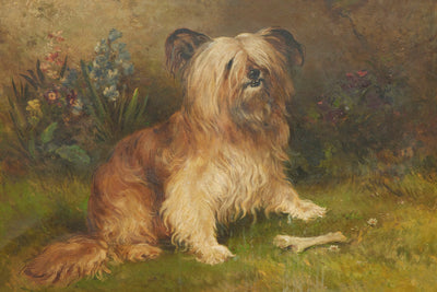 A SKYE TERRIER - Museum Quality Art