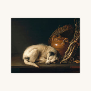A SLEEPING DOG WITH TERRACOTTA POT — Primary Image