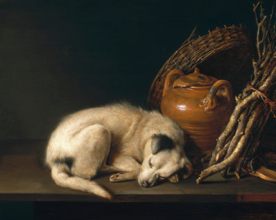 A SLEEPING DOG WITH TERRACOTTA POT