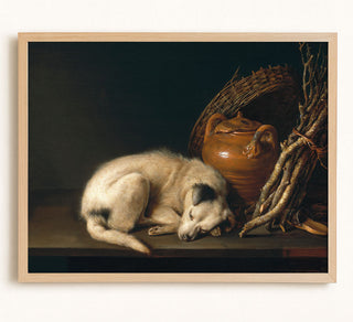 A Sleeping Dog With Terracotta Pot