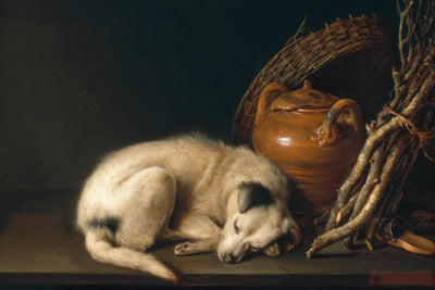 A SLEEPING DOG WITH TERRACOTTA POT