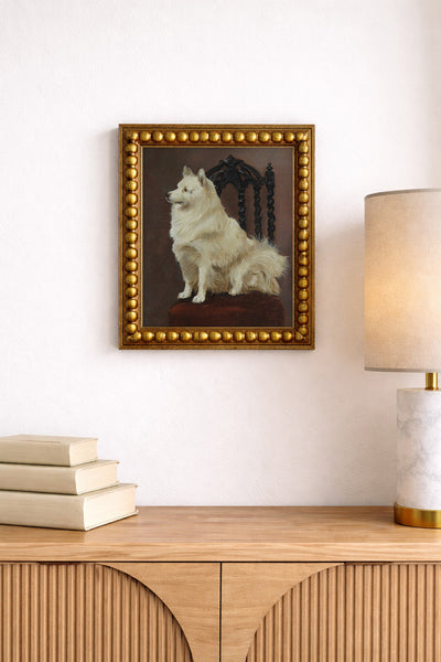 A Spitz Seated on a Fine Chair