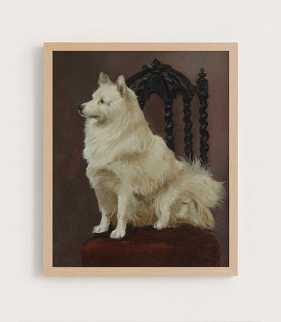 A Spitz Seated on a Fine Chair