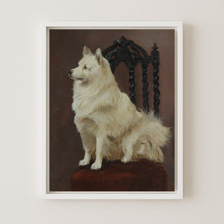 A Spitz Seated on a Fine Chair