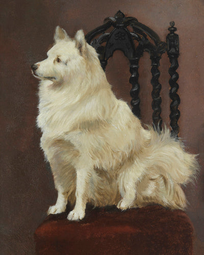 A SPITZ SEATED ON A FINE CHAIR - Museum Quality Art