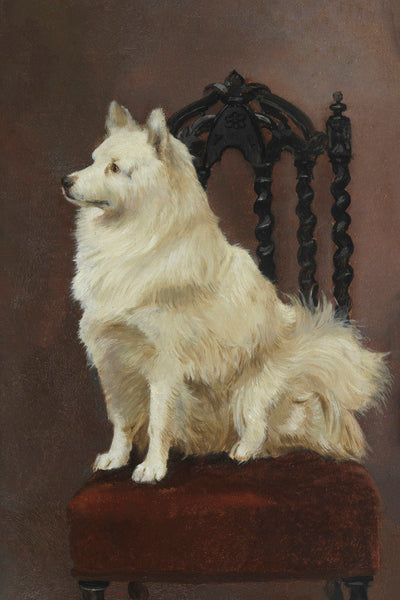 A SPITZ SEATED ON A FINE CHAIR - Museum Quality Art