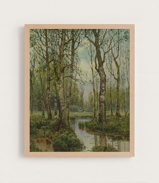 A Stream Running Through a Birch Wood