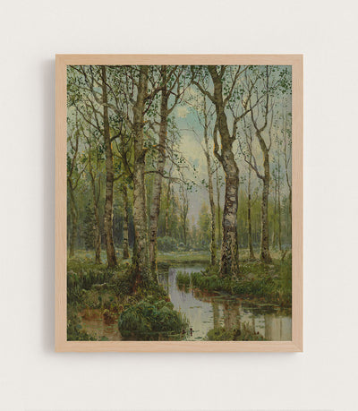 A Stream Running Through a Birch Wood