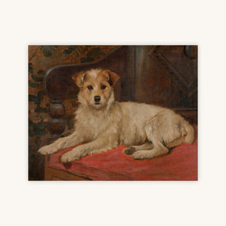 A TERRIER ON A SETTEE — Primary Image