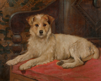 A TERRIER ON A SETTEE