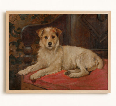 A Terrier on a Settee