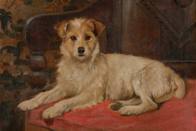 A TERRIER ON A SETTEE
