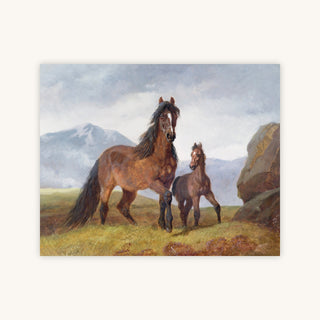 A WELSH MOUNTAIN MARE AND FOAL — Primary Image