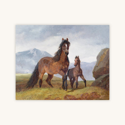 A WELSH MOUNTAIN MARE AND FOAL — Primary Image