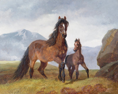 A WELSH MOUNTAIN MARE AND FOAL