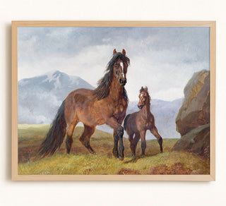 A Welsh Mountain Mare and Foal