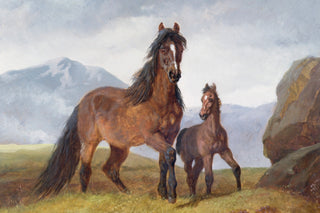 A WELSH MOUNTAIN MARE AND FOAL